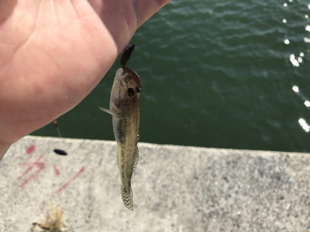 f:id:okimusan:20170815174835j:plain