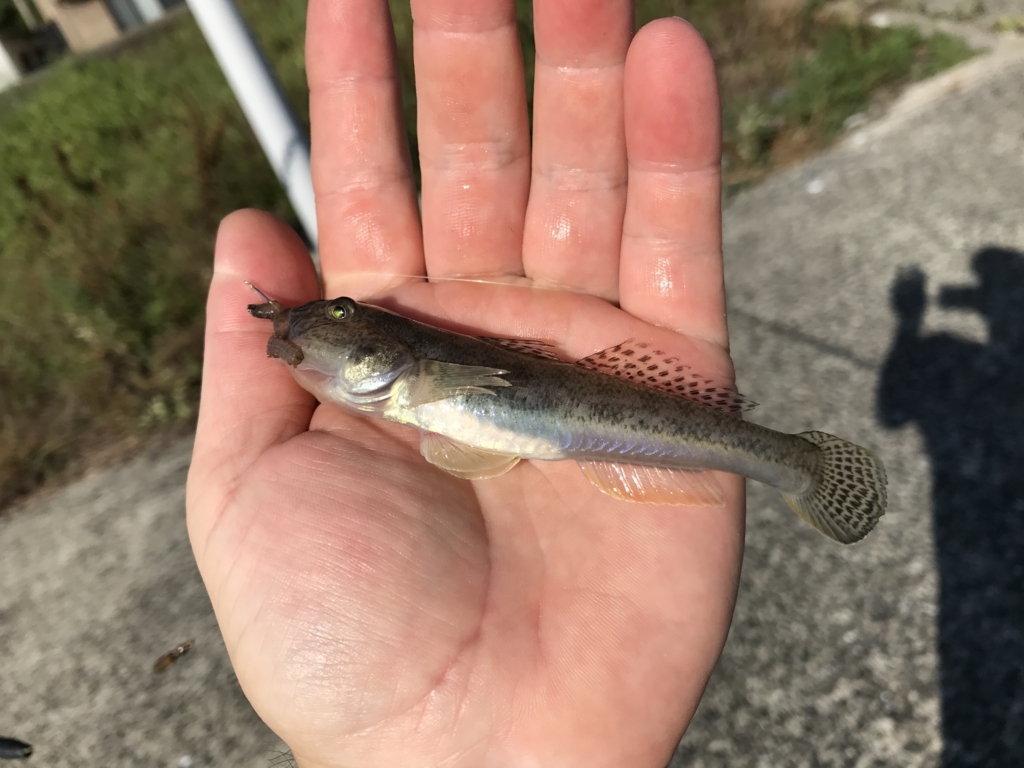 f:id:okimusan:20170815180426j:plain