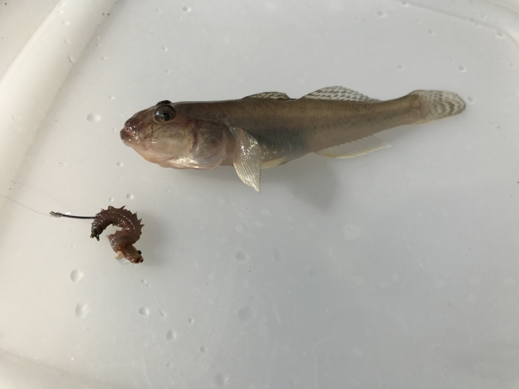 f:id:okimusan:20170815180432j:plain