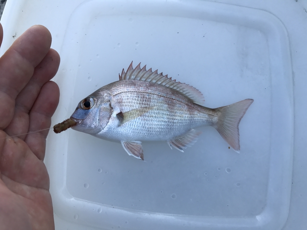 f:id:okimusan:20170815181655j:plain