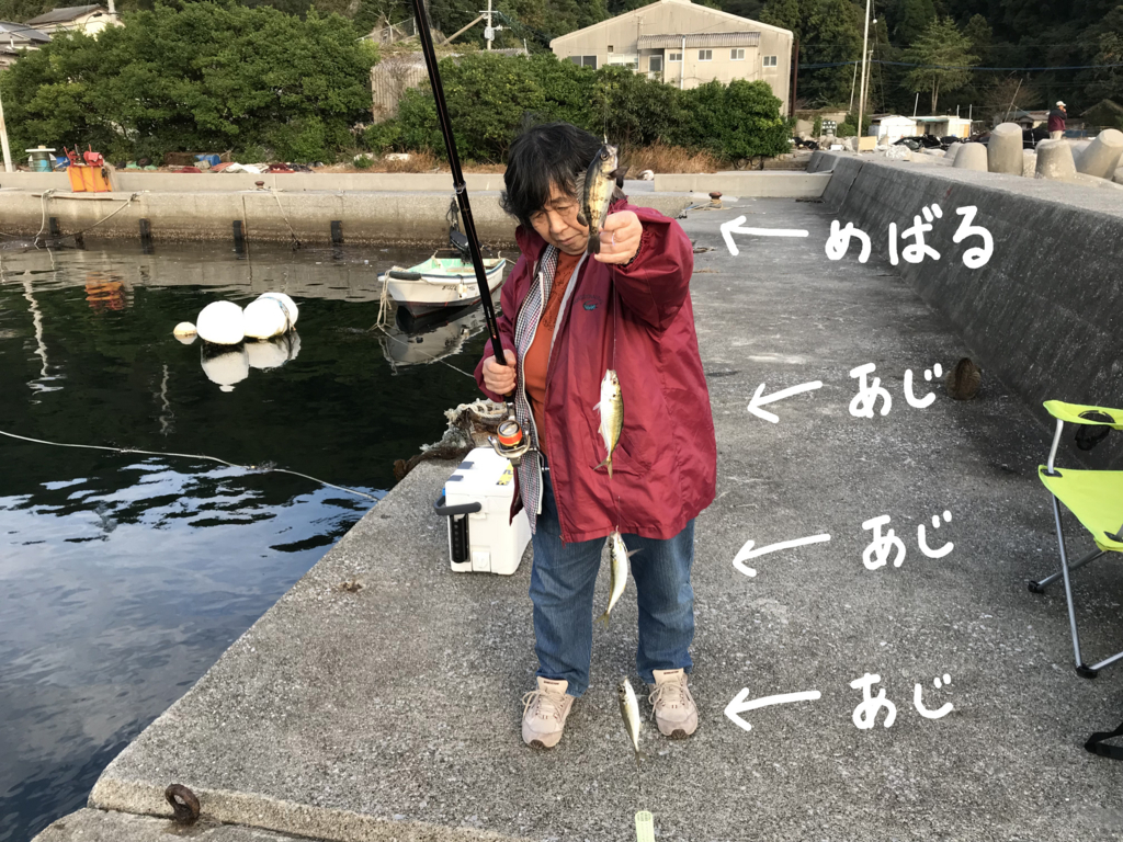 f:id:okimusan:20171028222503j:plain