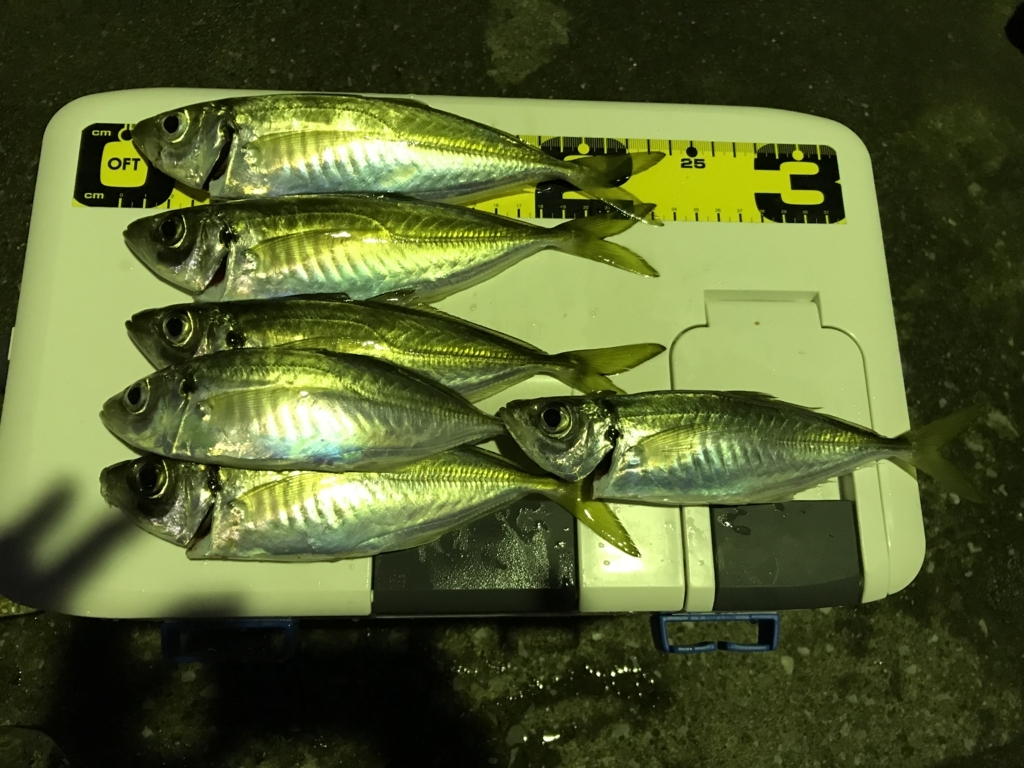 f:id:okimusan:20171028224015j:plain