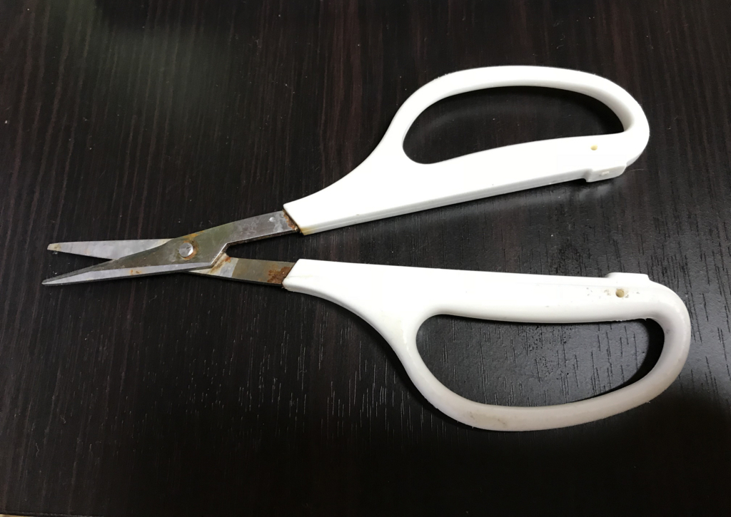 f:id:okimusan:20171112152900j:plain