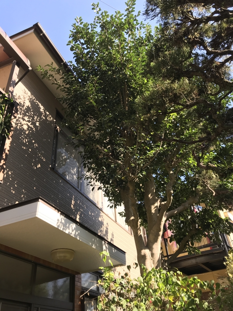 f:id:okimusan:20171112155812j:plain