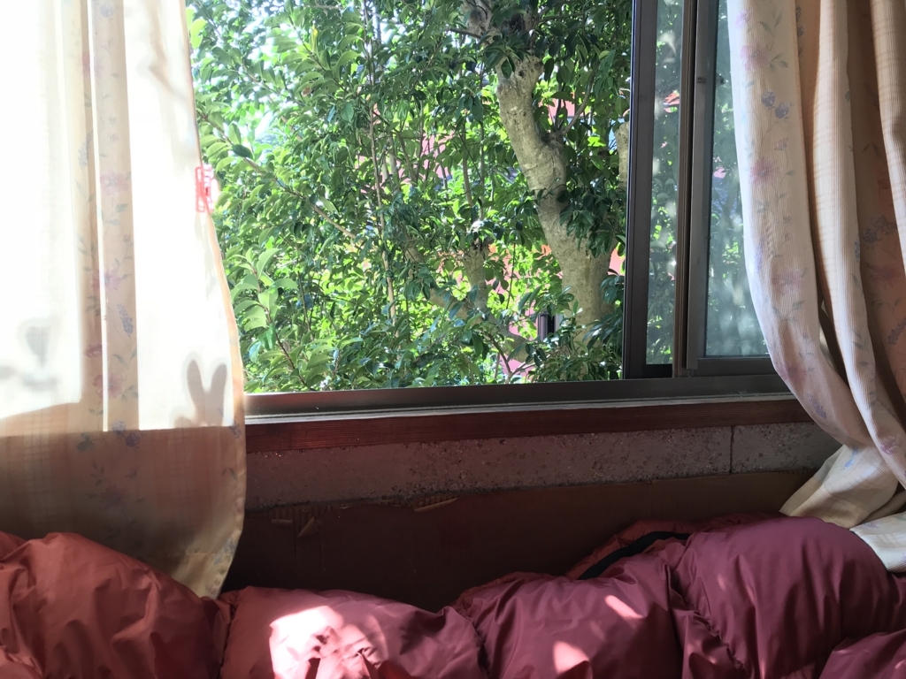 f:id:okimusan:20171112160800j:plain