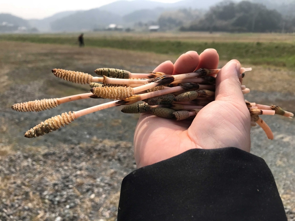 f:id:okimusan:20180327233535j:plain f:id:okimusan:20180327233535j:plain