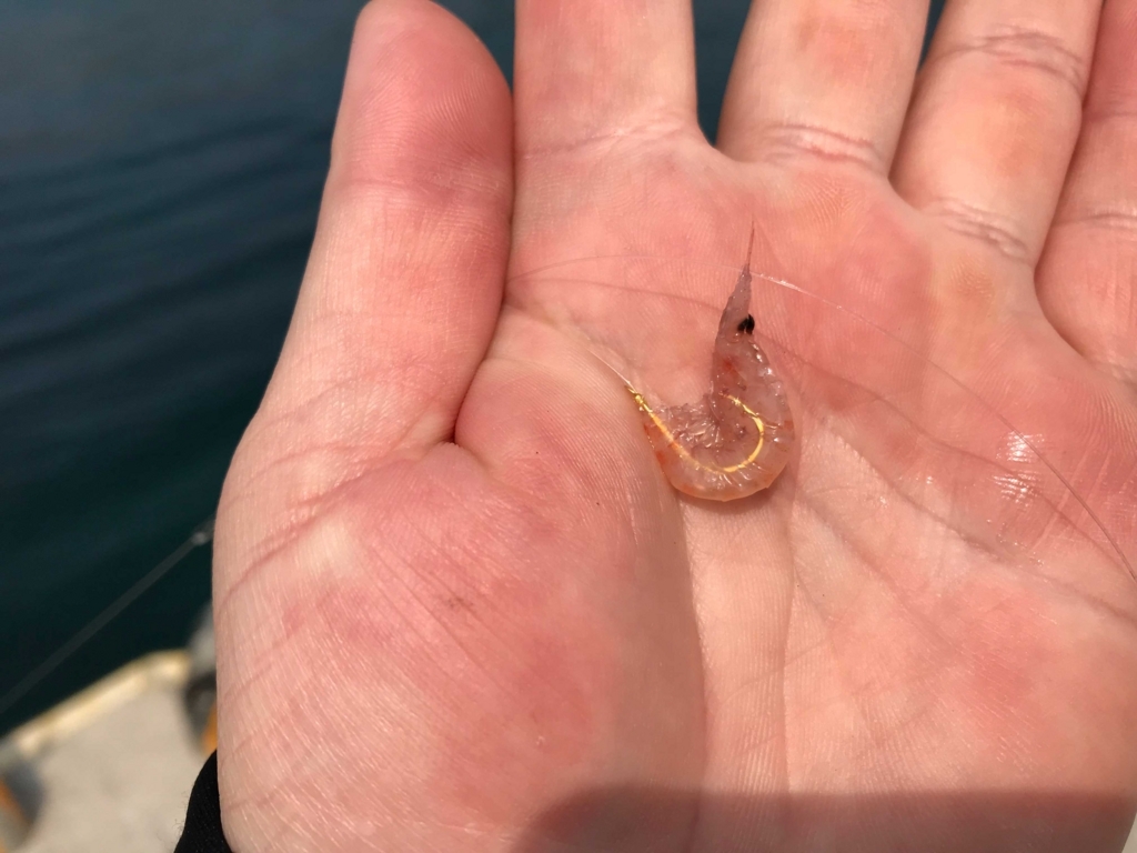 f:id:okimusan:20180409014847j:plain