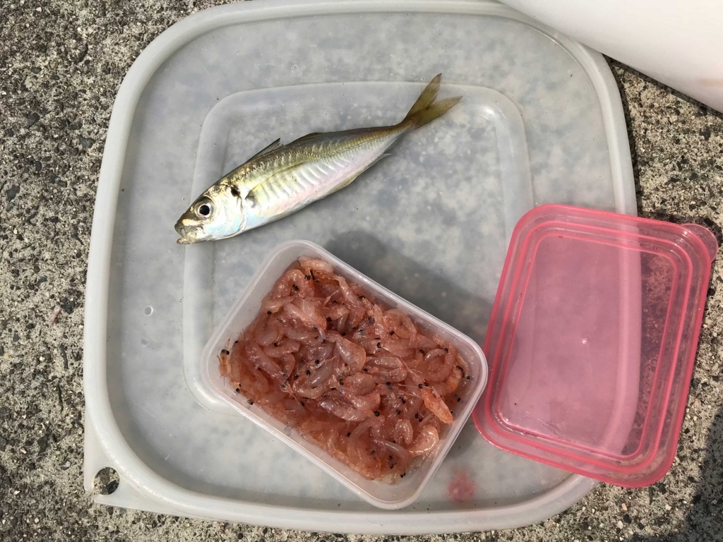 f:id:okimusan:20180409015038j:plain