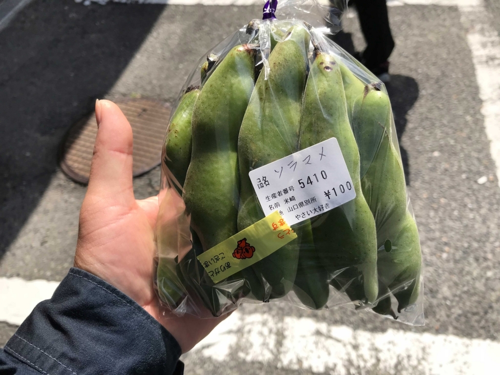 f:id:okimusan:20180527220338j:plain