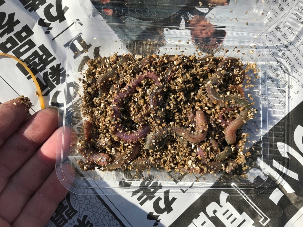 お手軽で楽しい ちょい投げ釣り のススメ 準備編 釣りとわたし