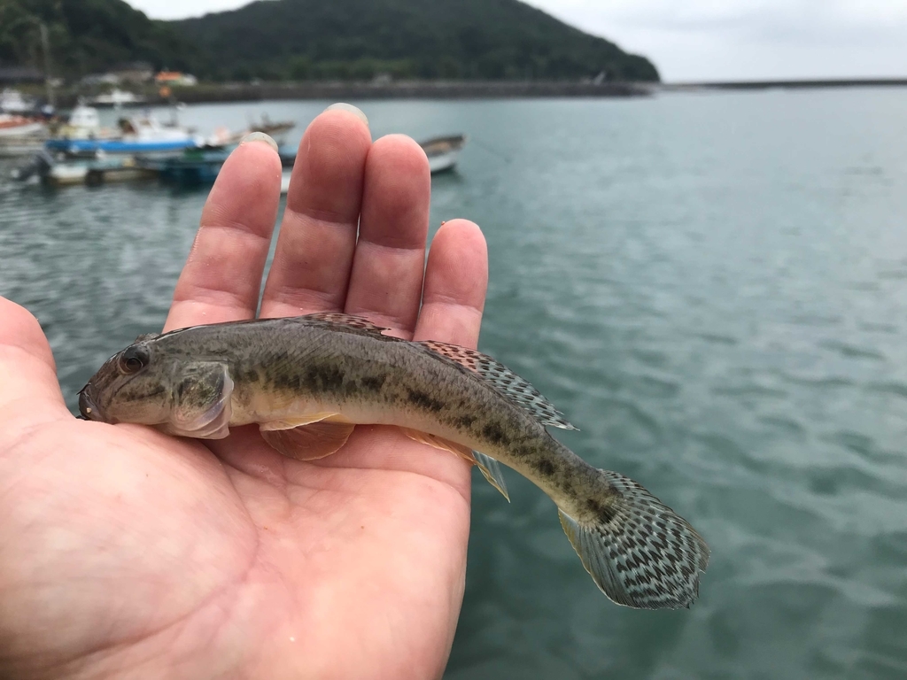 f:id:okimusan:20180911182331j:plain