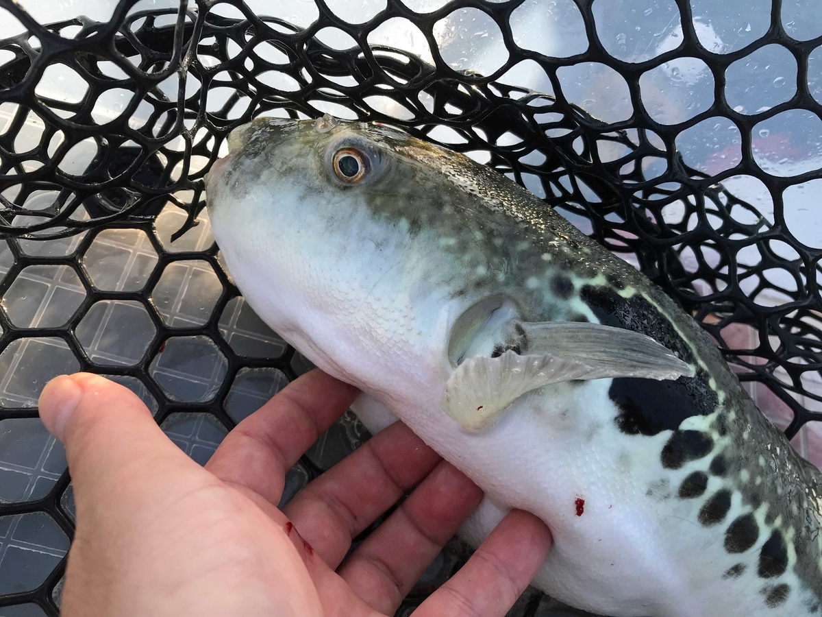 f:id:okimusan:20190930054629j:plain