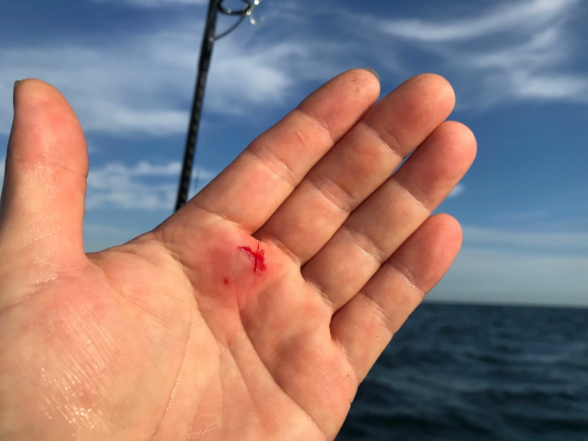 f:id:okimusan:20190930054650j:plain