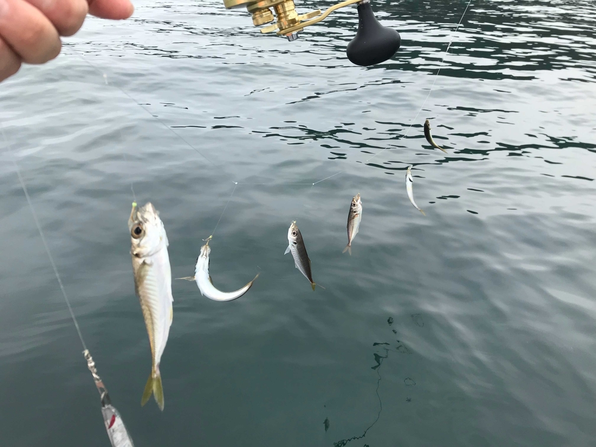 f:id:okimusan:20190930054915j:plain