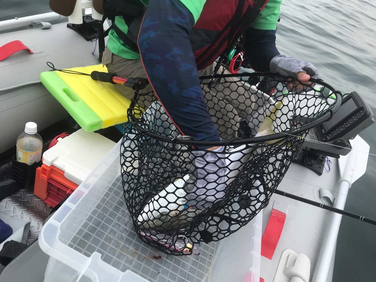 f:id:okimusan:20190930055308j:plain