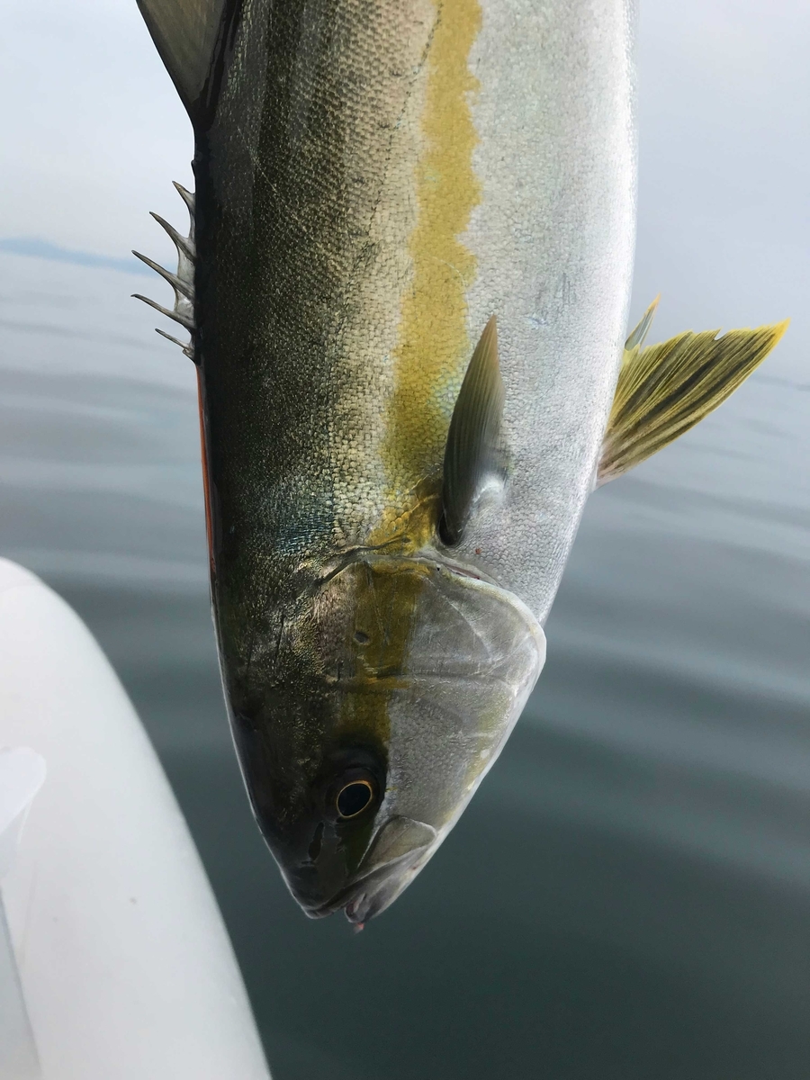 f:id:okimusan:20190930055404j:plain