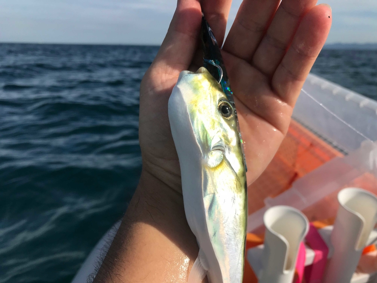 f:id:okimusan:20190930060155j:plain