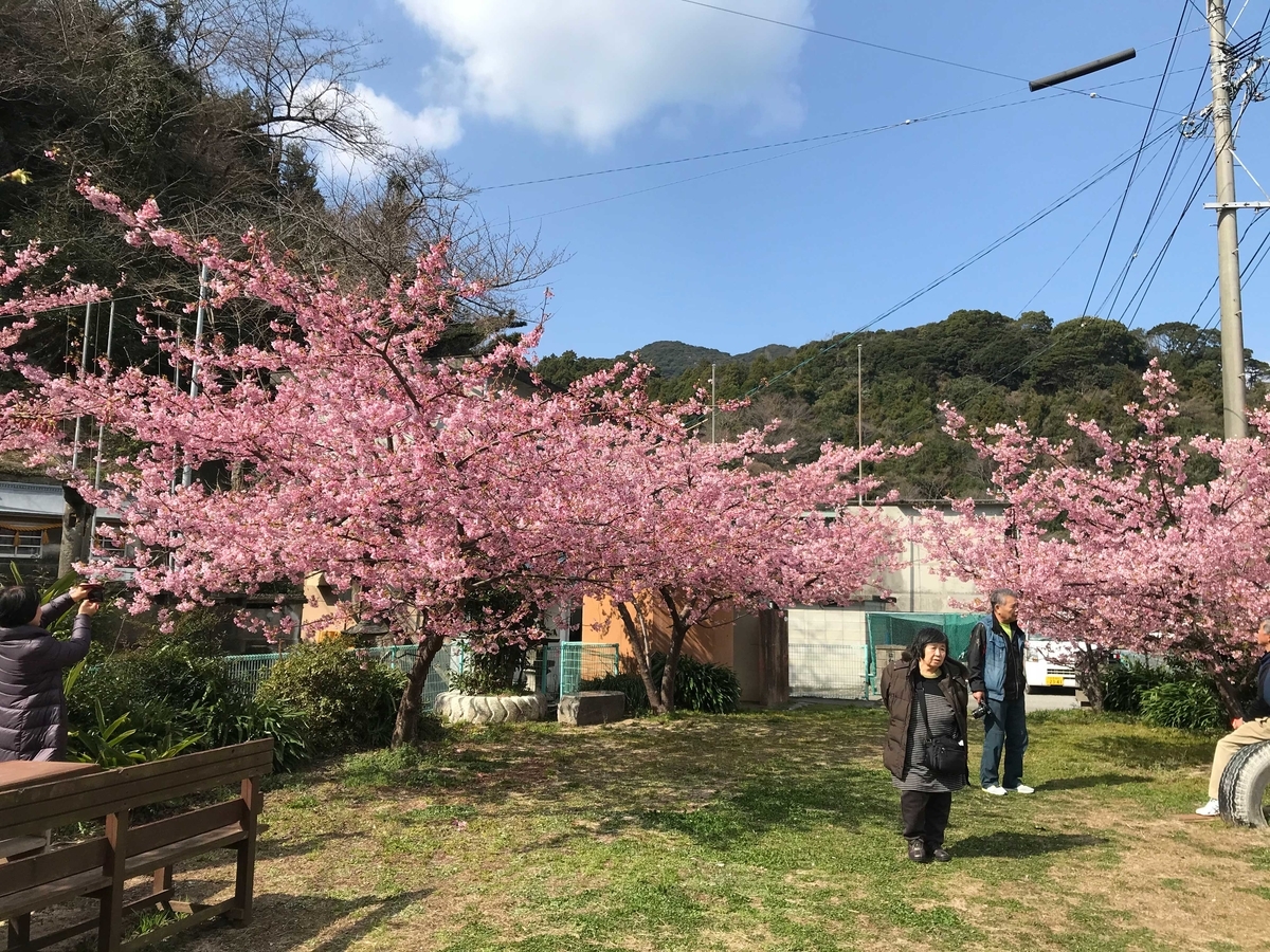 f:id:okimusan:20200212055217j:plain