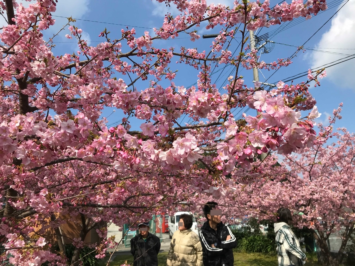 f:id:okimusan:20200212055234j:plain