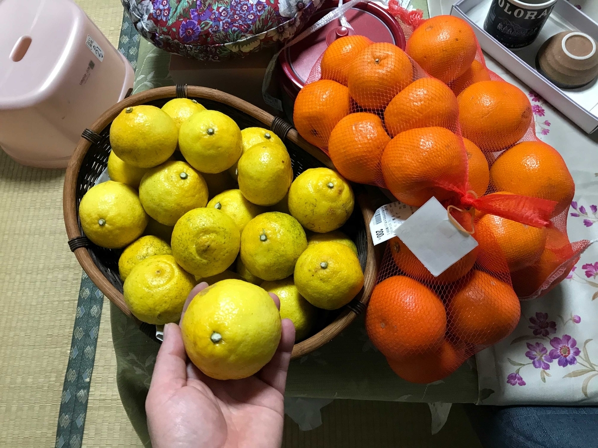 f:id:okimusan:20200212055252j:plain