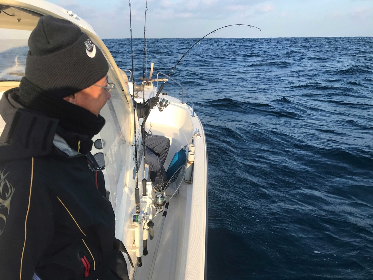 f:id:okimusan:20200212055457j:plain