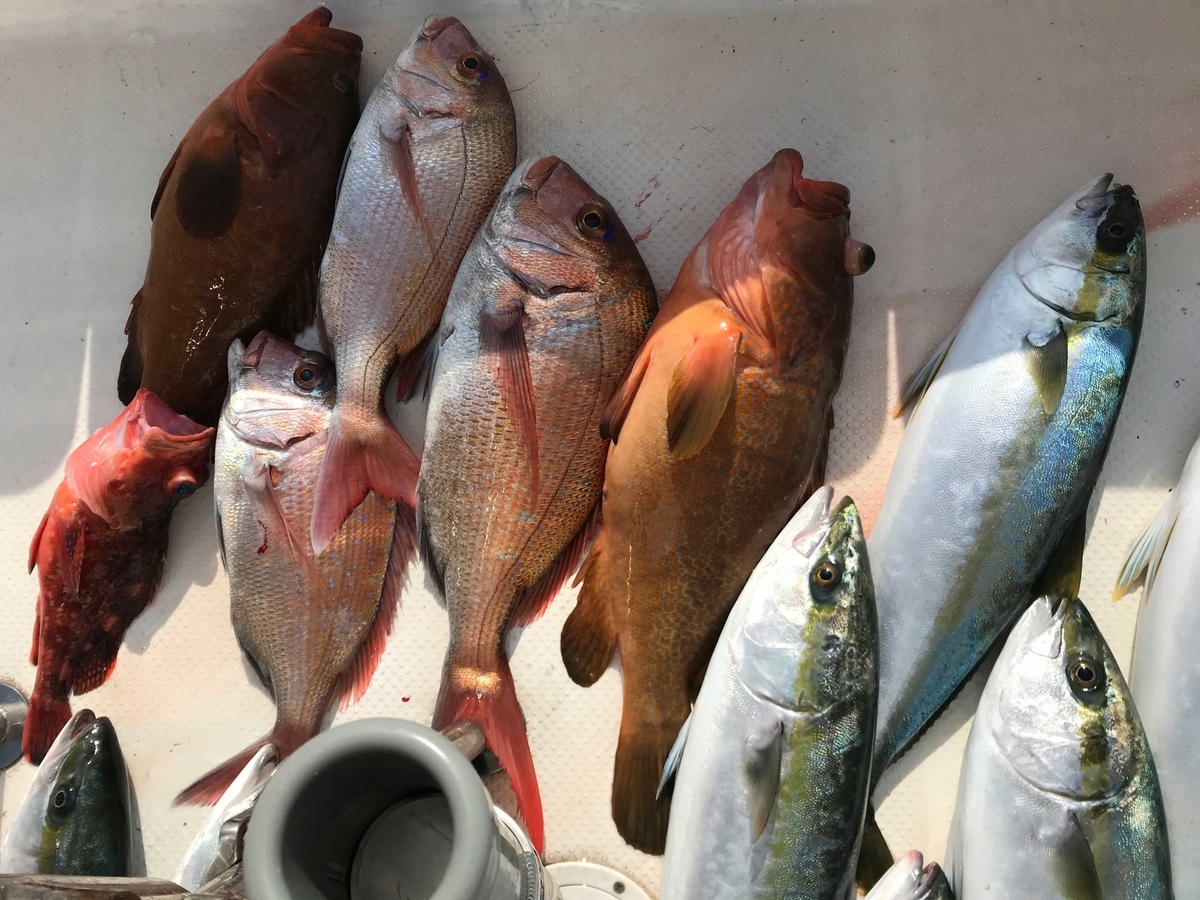 f:id:okimusan:20200212060418j:plain