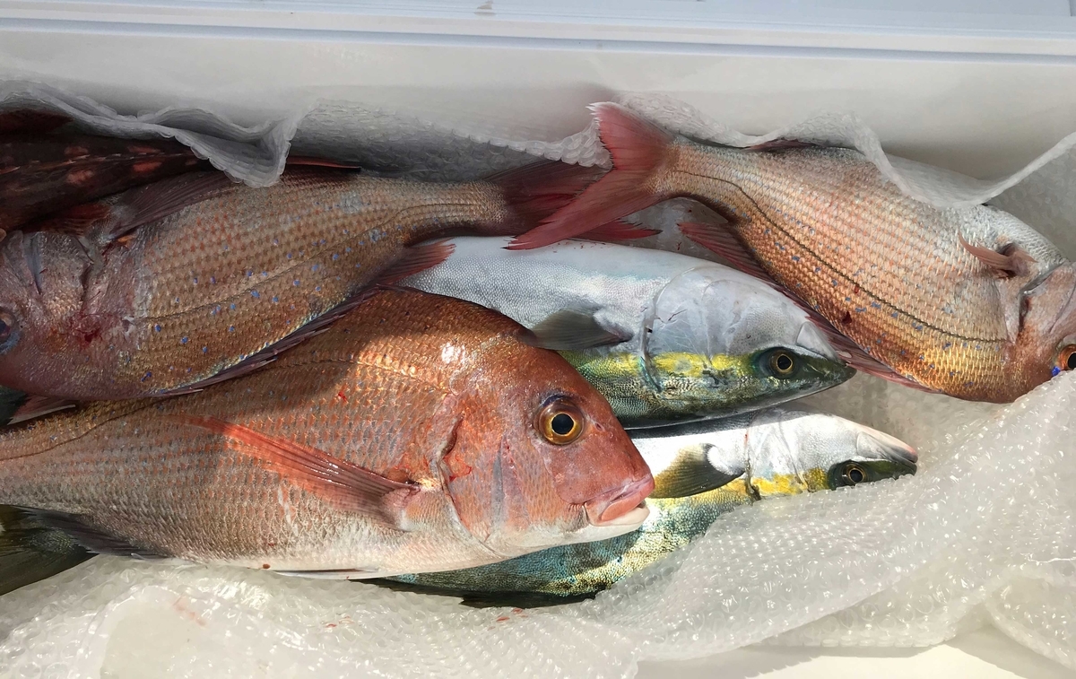 f:id:okimusan:20200212060505j:plain