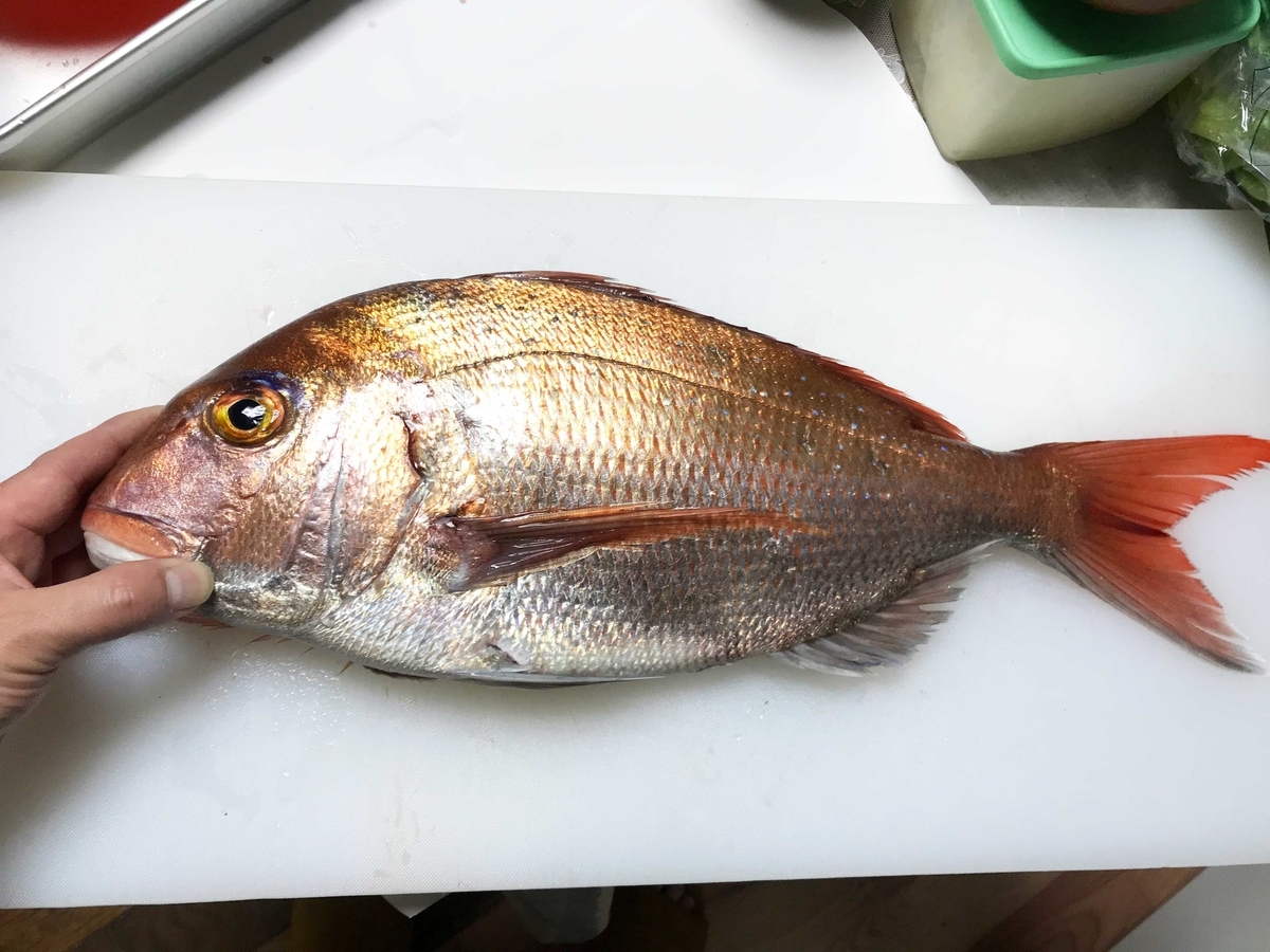 f:id:okimusan:20200212060521j:plain