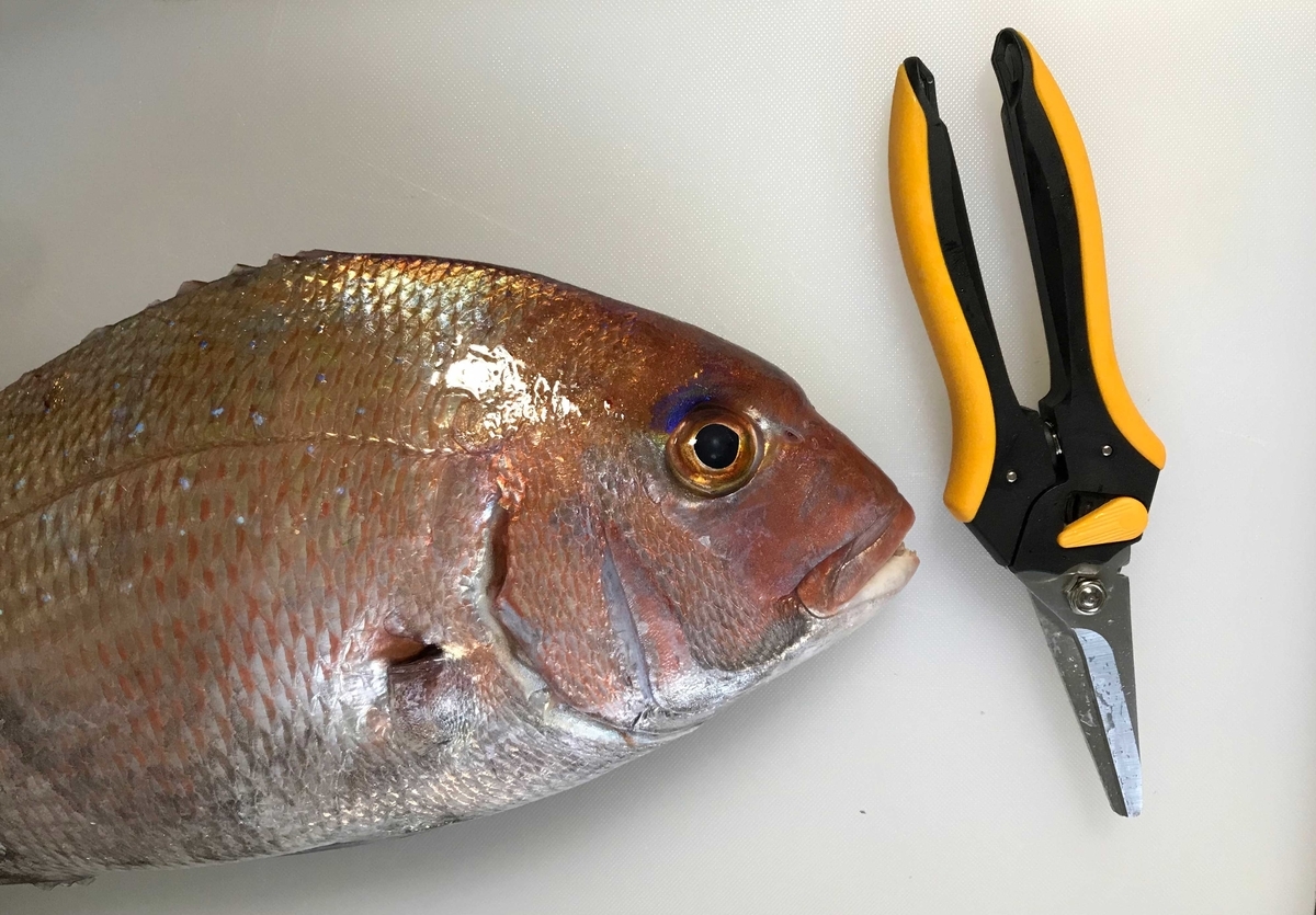 f:id:okimusan:20210306220730j:plain