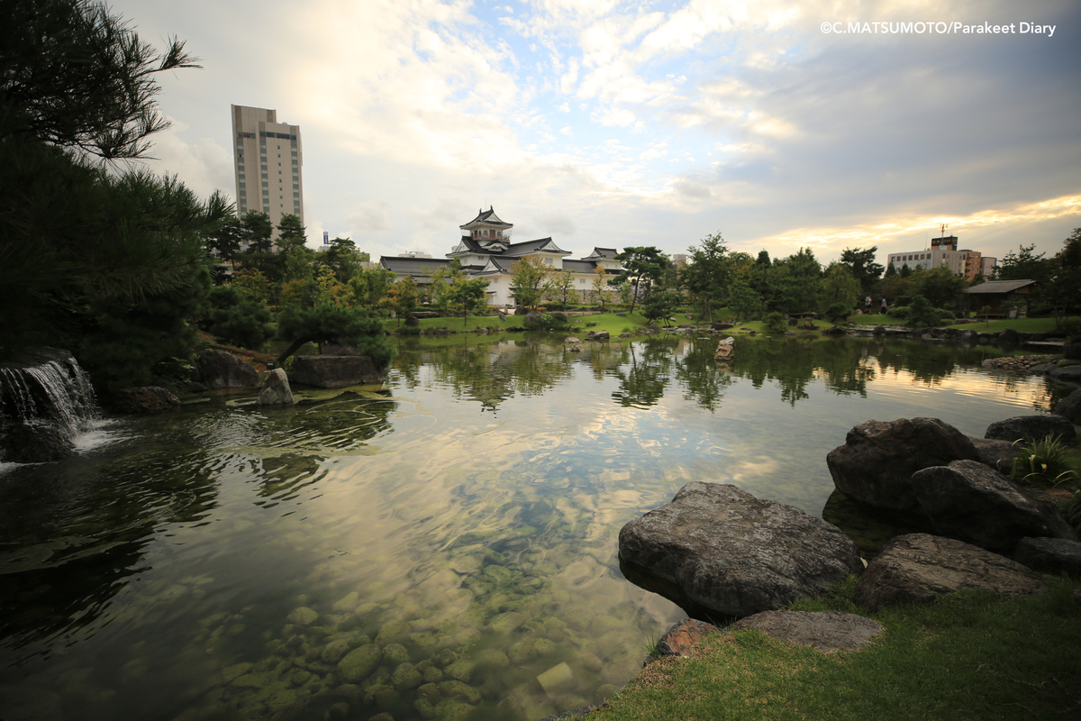 f:id:okina_monkparakeet:20200528195615j:plain f:id:okina_monkparakeet:20200528195615j:plain