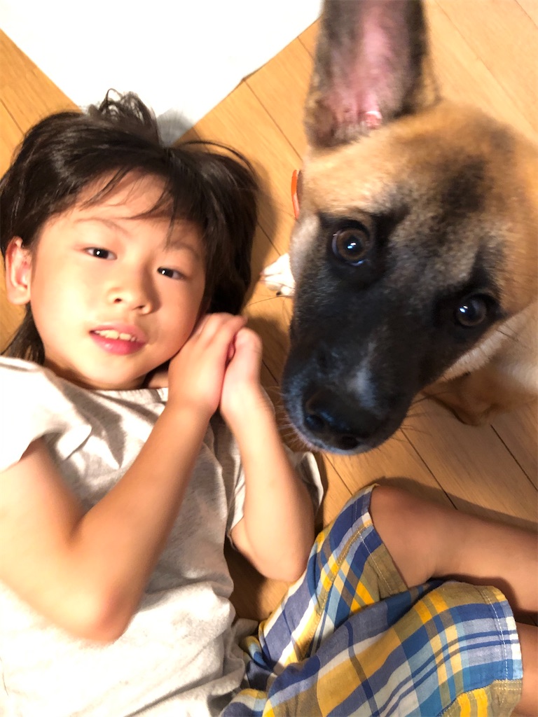 f:id:okinacco:20200920152549j:image