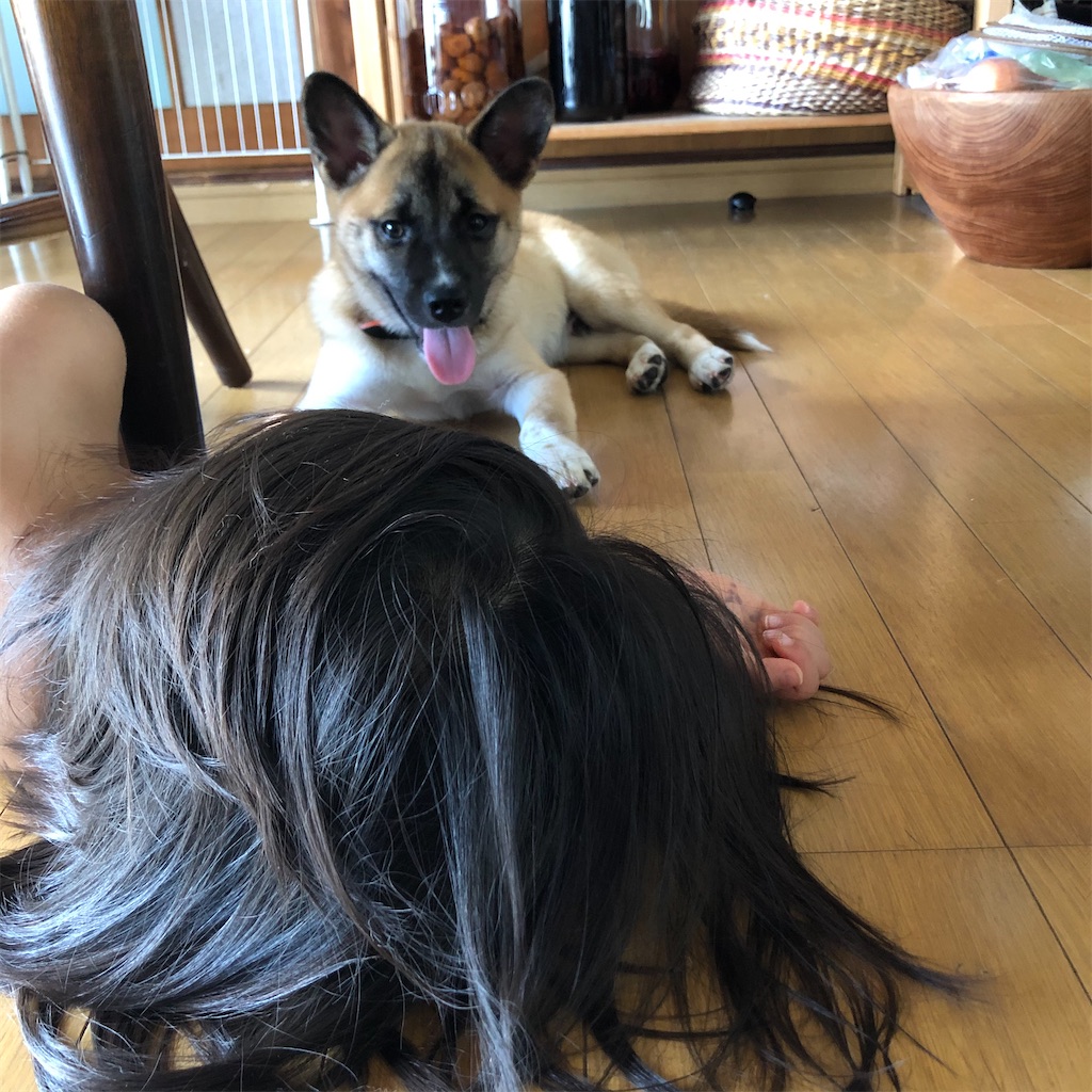 f:id:okinacco:20200920152601j:image