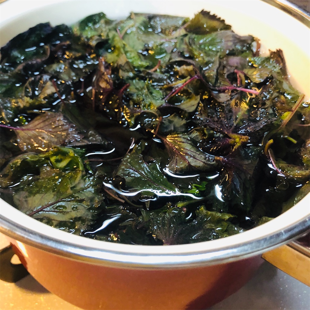 f:id:okinacco:20200920154107j:image