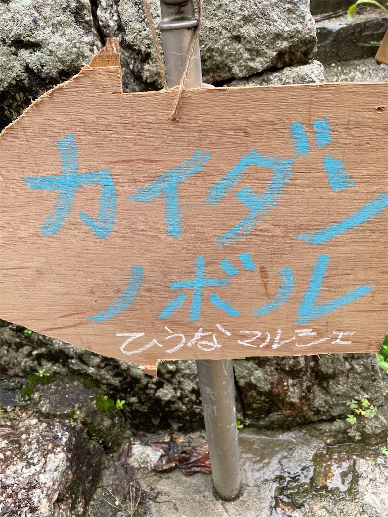 f:id:okinacco:20210923114108j:image