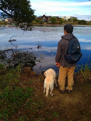 f:id:okinainu:20211025141015j:plain