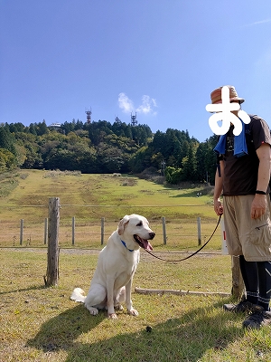 f:id:okinainu:20211208172042j:plain
