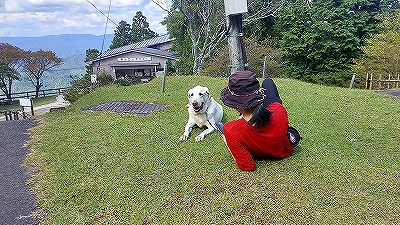 f:id:okinainu:20211208172236j:plain