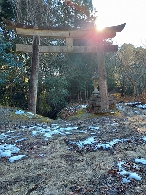 f:id:okinainu:20220110173302j:plain