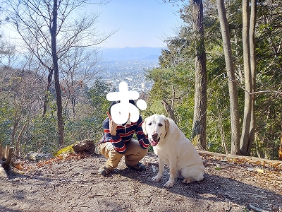 f:id:okinainu:20220304114759j:plain