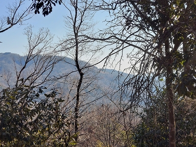 f:id:okinainu:20220304114814j:plain