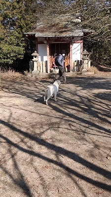 f:id:okinainu:20220304114829j:plain