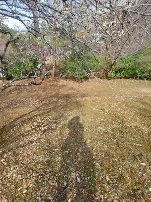f:id:okinainu:20220331185029j:plain