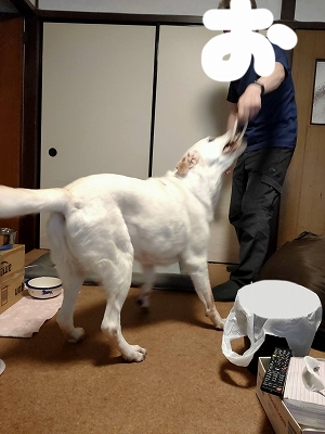引っ張り翁１
