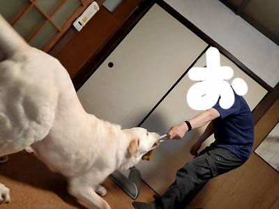 引っ張り翁２