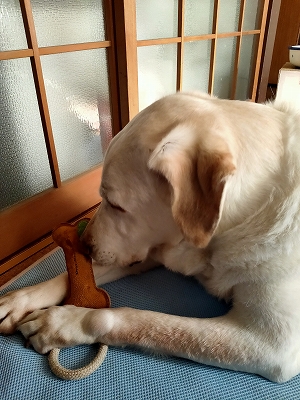 翁とニューおもちゃ１
