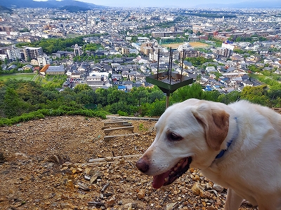 山上お疲れ翁