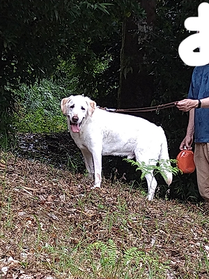 昔と同じ場所での翁の写真