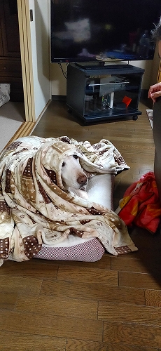 くつろぎ翁２