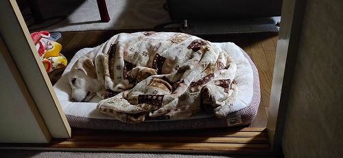 就寝翁