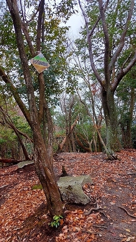 雲母坂城跡１